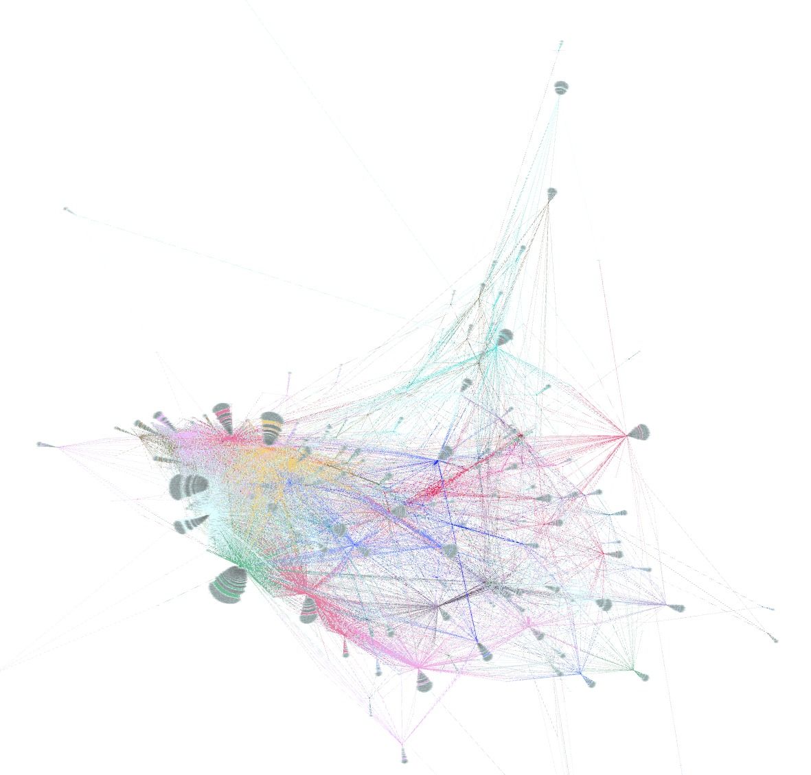 eingefärbtes Gephi Netzwerkdiagramm