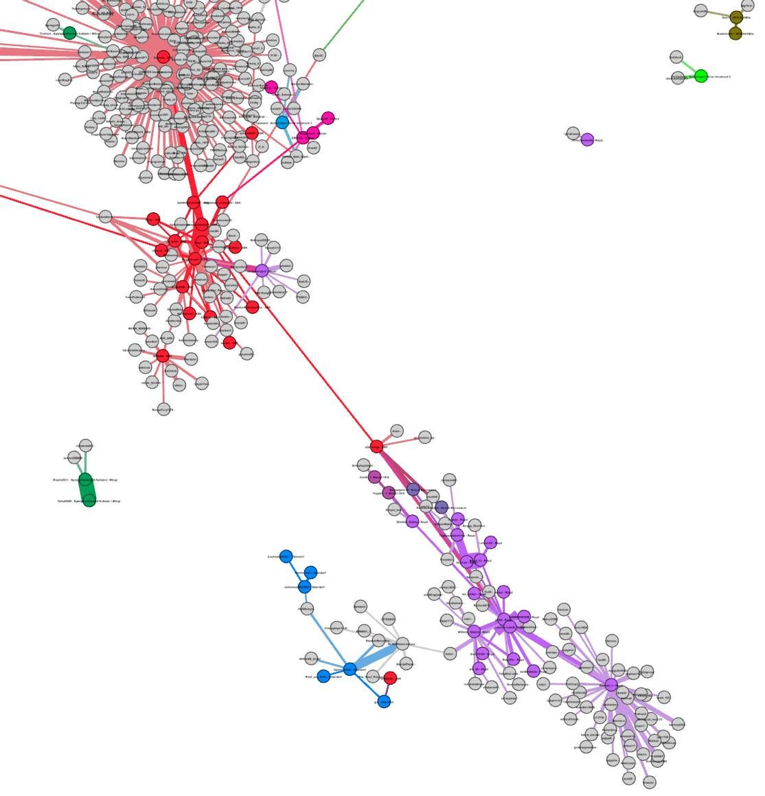 gezoomtes Netzwerkdiagramm