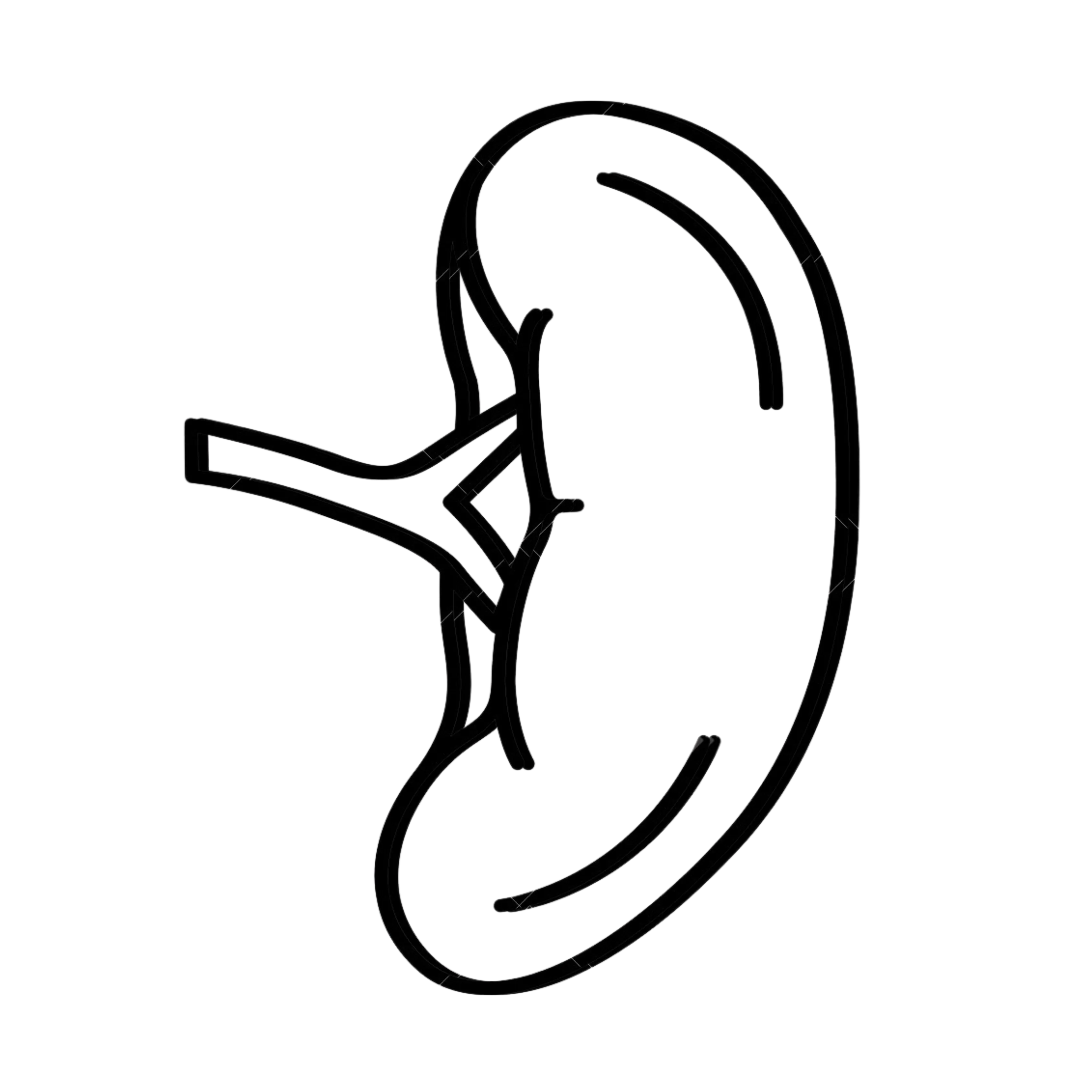 Enlarged Spleen