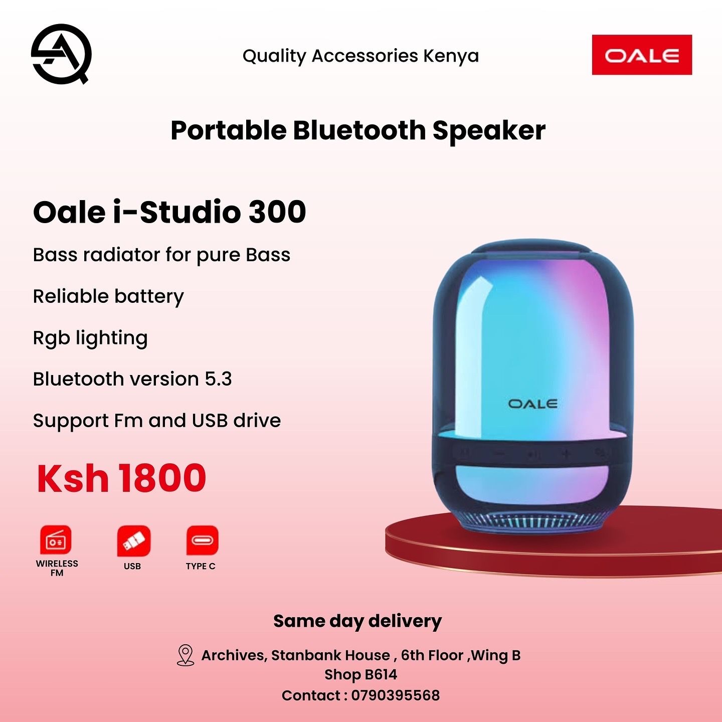 Oale i-studio 300 Portable Bluetooth Speaker