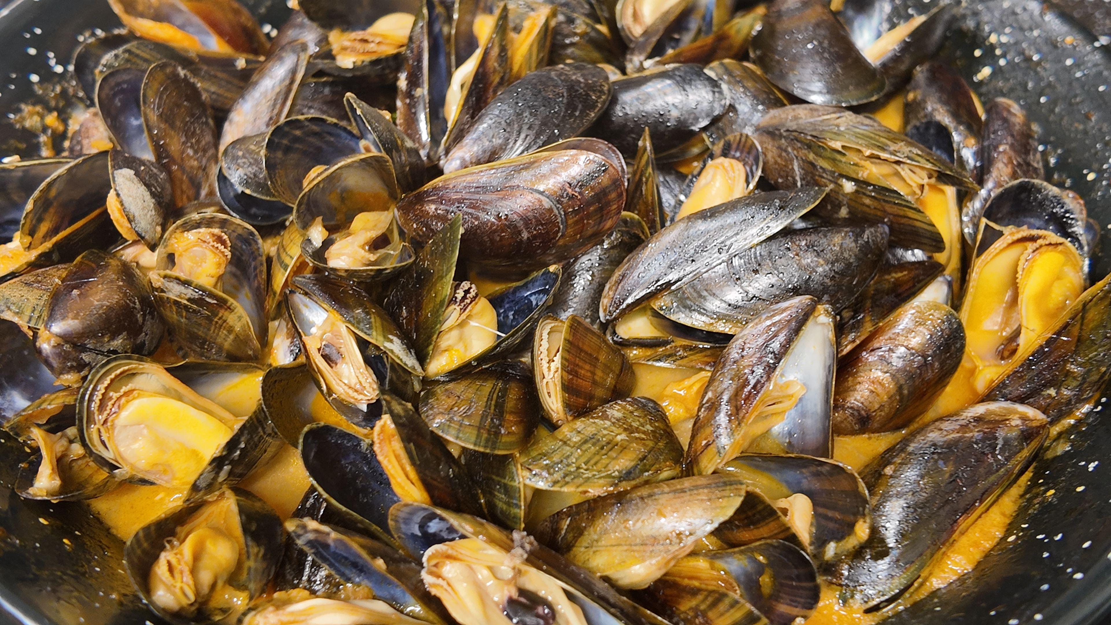 Mejillones en salsa americana