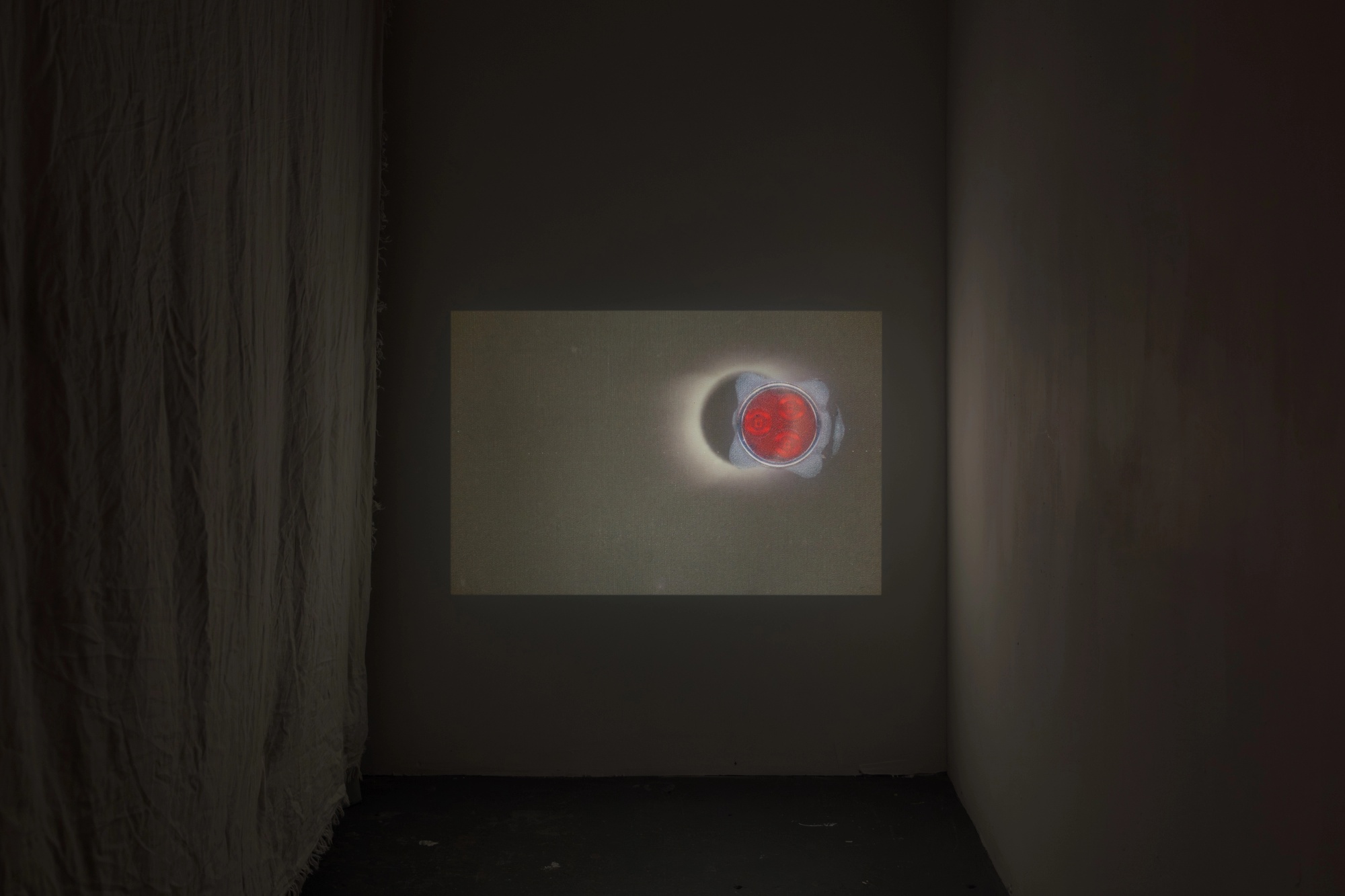 Prerender image 45