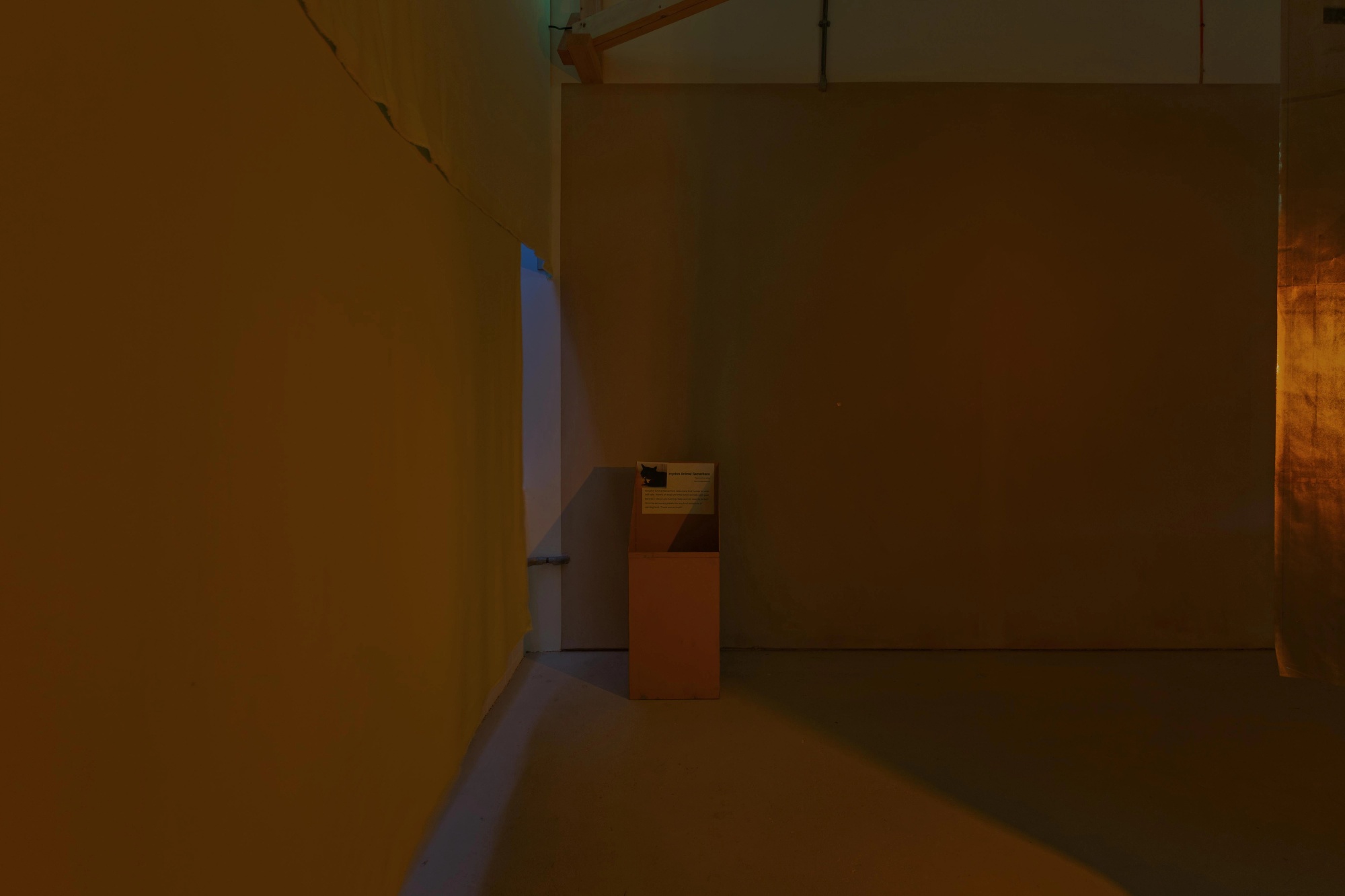Prerender image 37