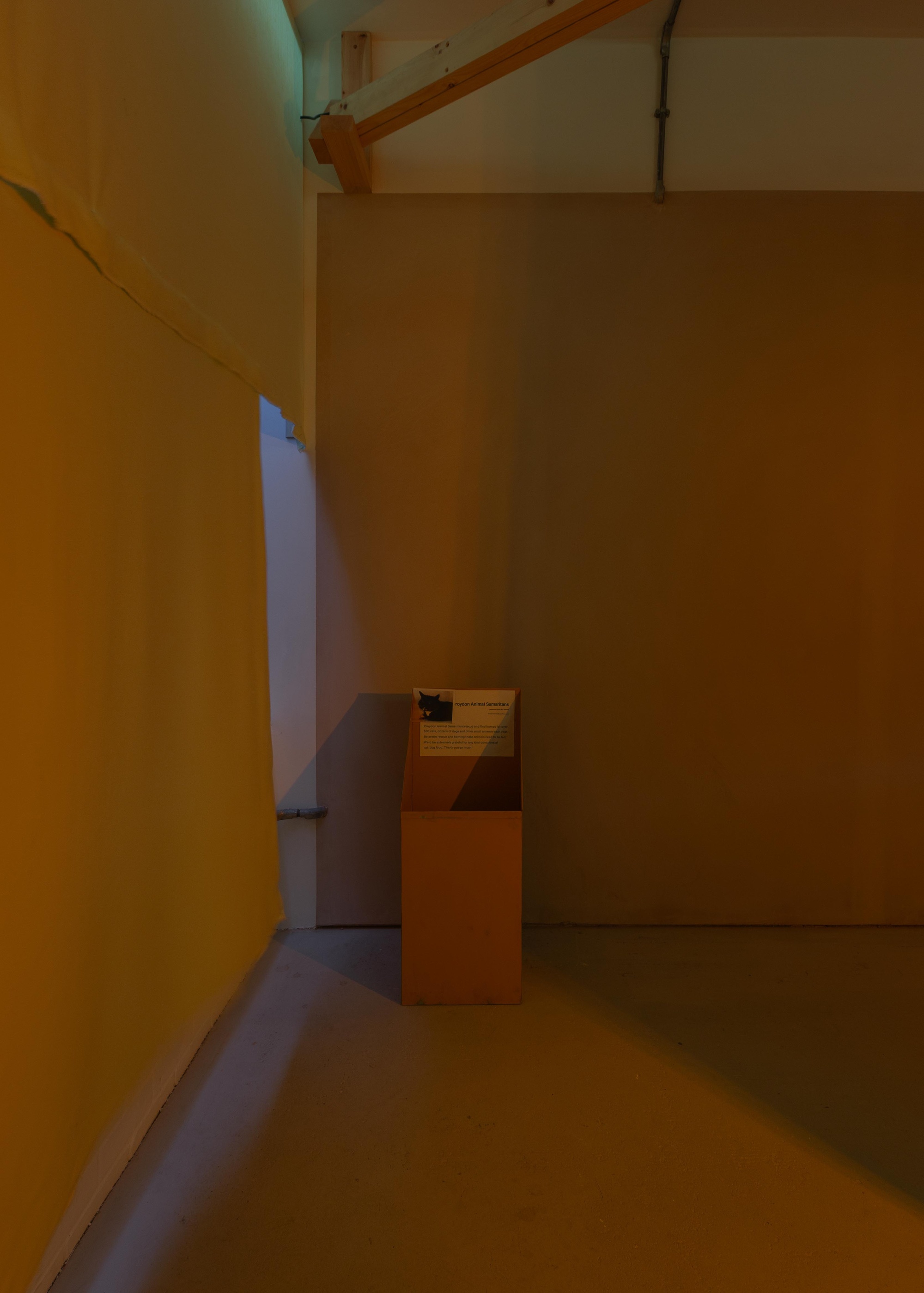 Prerender image 36