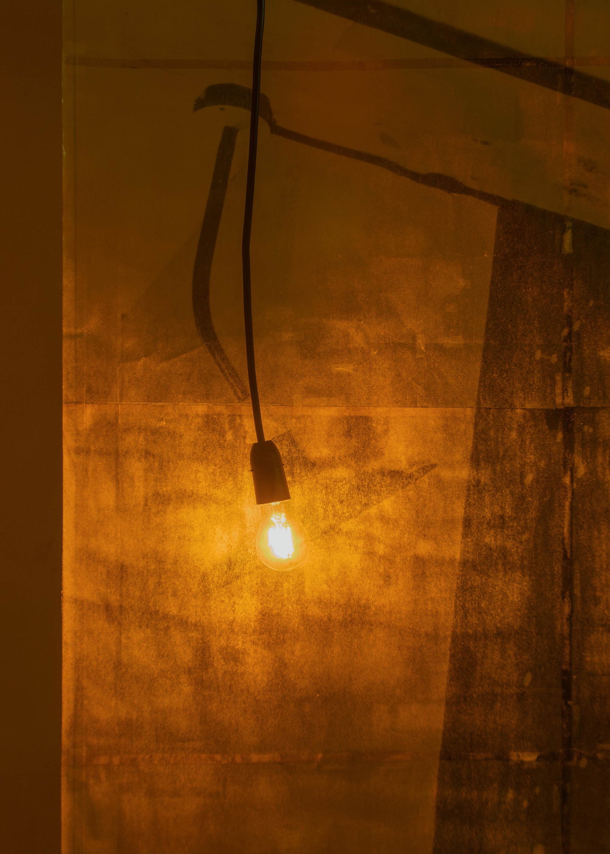 Prerender image 21