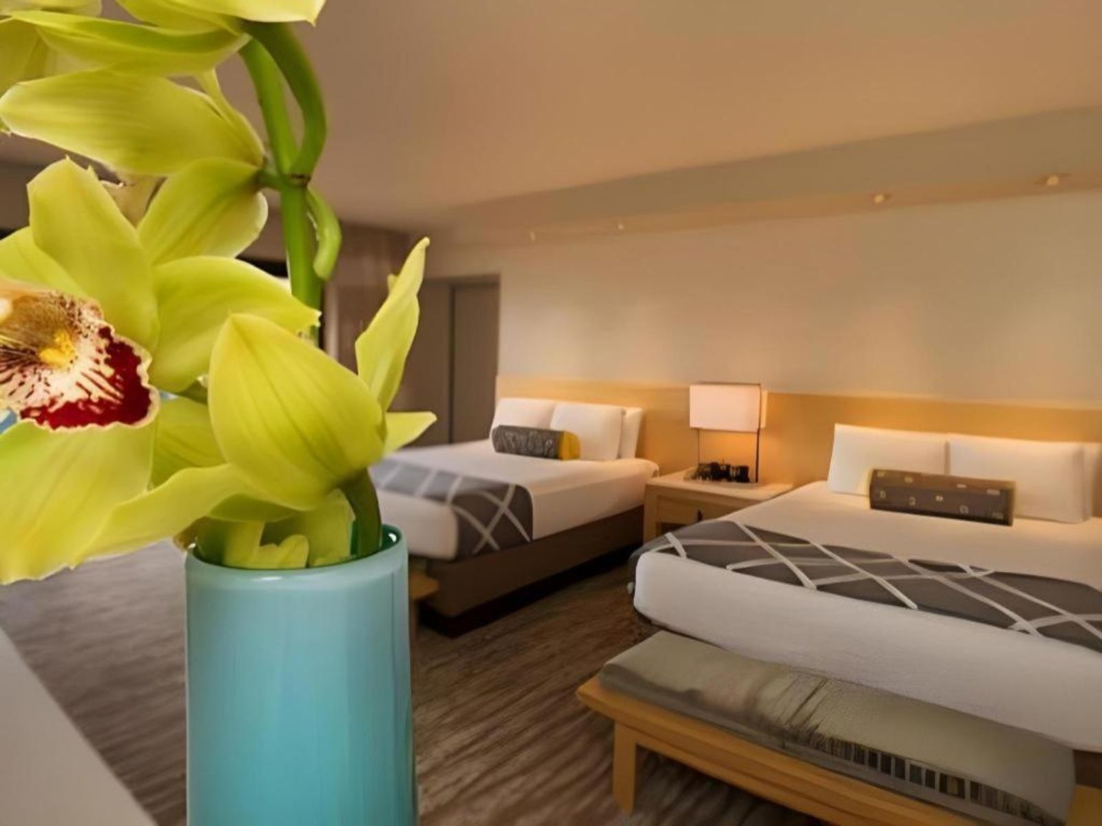 Habitación Contemporary Resort
