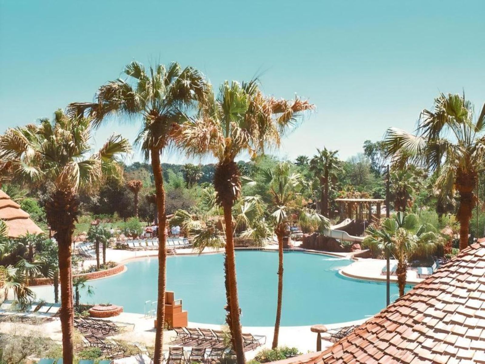 Piscina Animal Kingdom Lodge