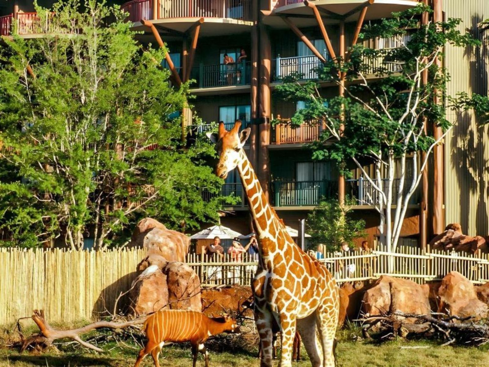 Sabana Animal Kingdom Lodge