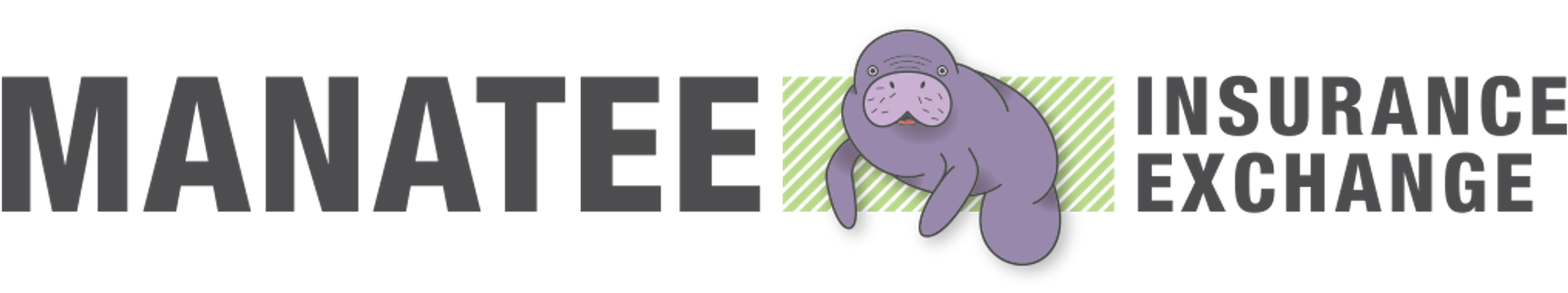 Manatee Insurance