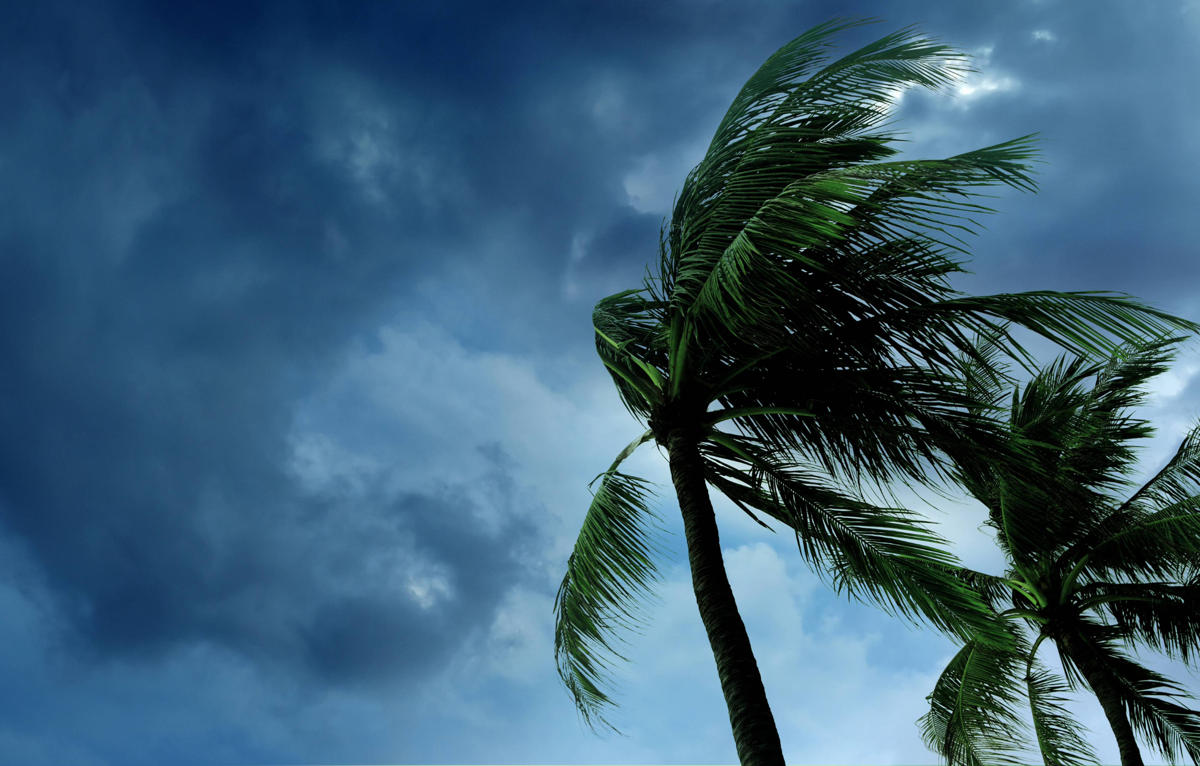 storm preparedness storm preparedness