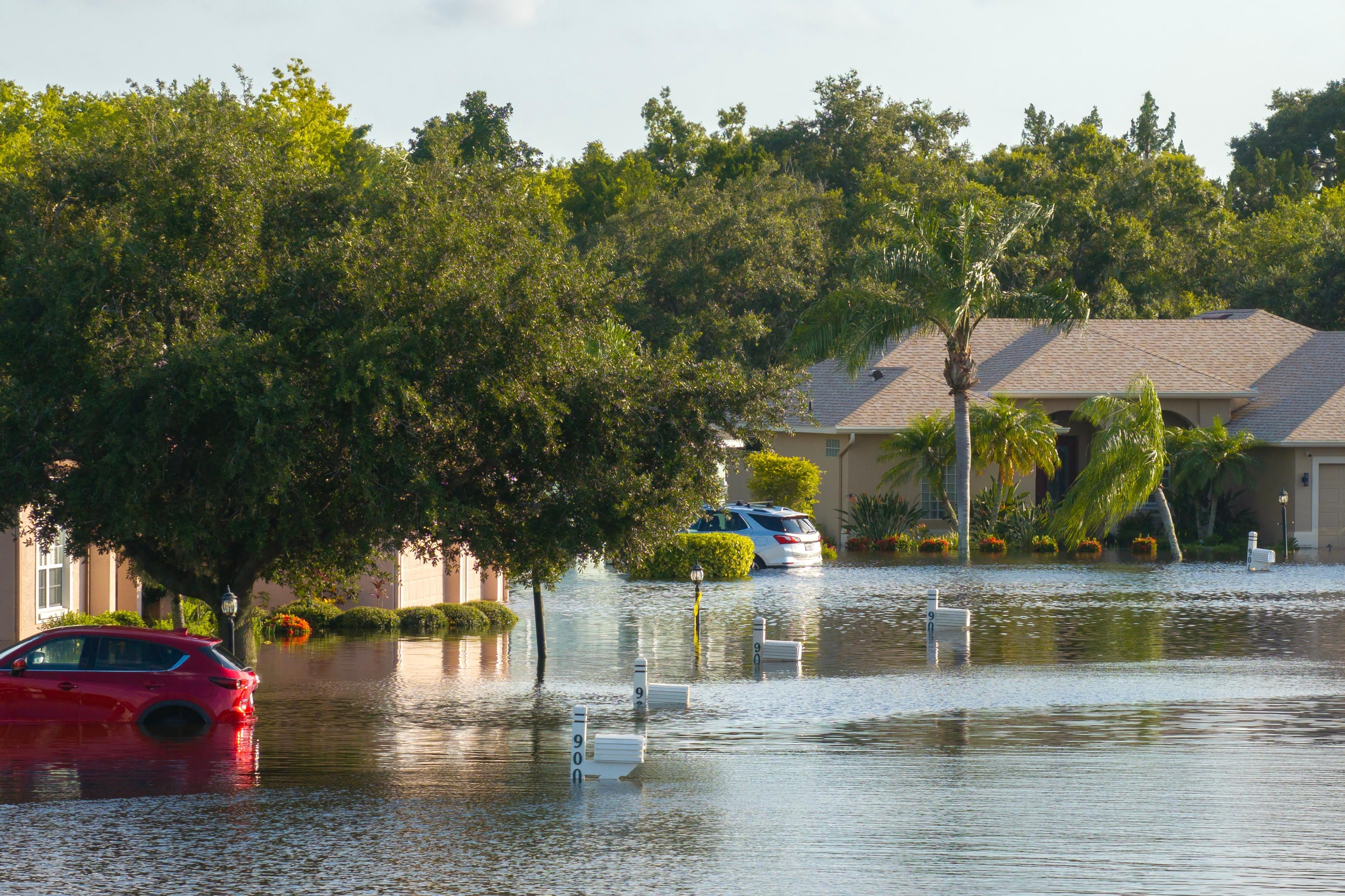 flooded street flooded street