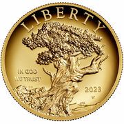 100 Dollars (American Liberty High Relief) - Obverse