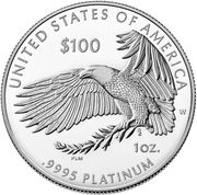 100 Dollars (Pursuit of Happiness) - Reverse