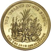 Wealth of the South Civil War Patriotic - Obverse