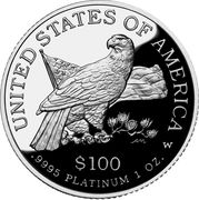 100 Dollars "American Platinum Eagle" (Bullion Coinage) - Reverse