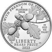 100 Dollars "American Platinum Eagle" (Bullion Coinage) - Obverse