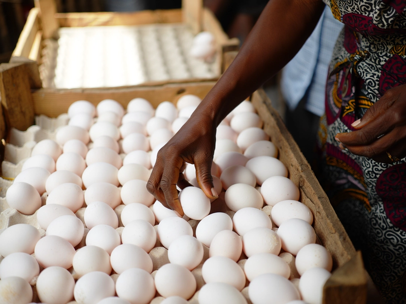 A Ghanaian mother arranging eggs