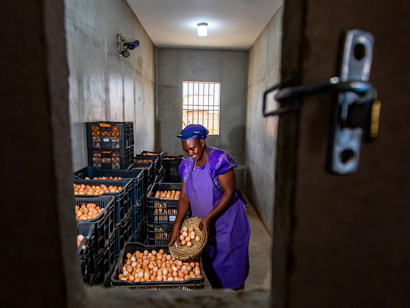 Ghanaian farmer checking on her eggs in storage