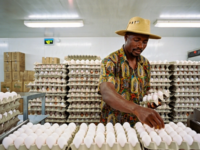 How to Store Eggs Safely in Ghana’s Climate