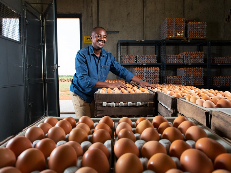 Eggs store owner securing eggs delivery at facility storage