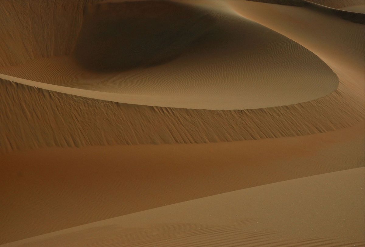 Des dunes sculptées par le vent dans une lumière chaude et rasante, aux Émirats arabes unis