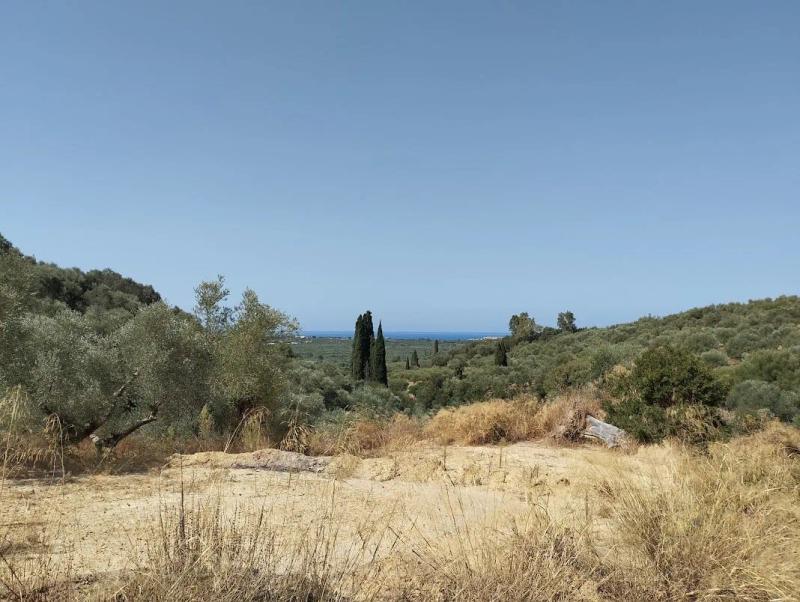 Grundstück zum verkaufen in Pisaski Messinia