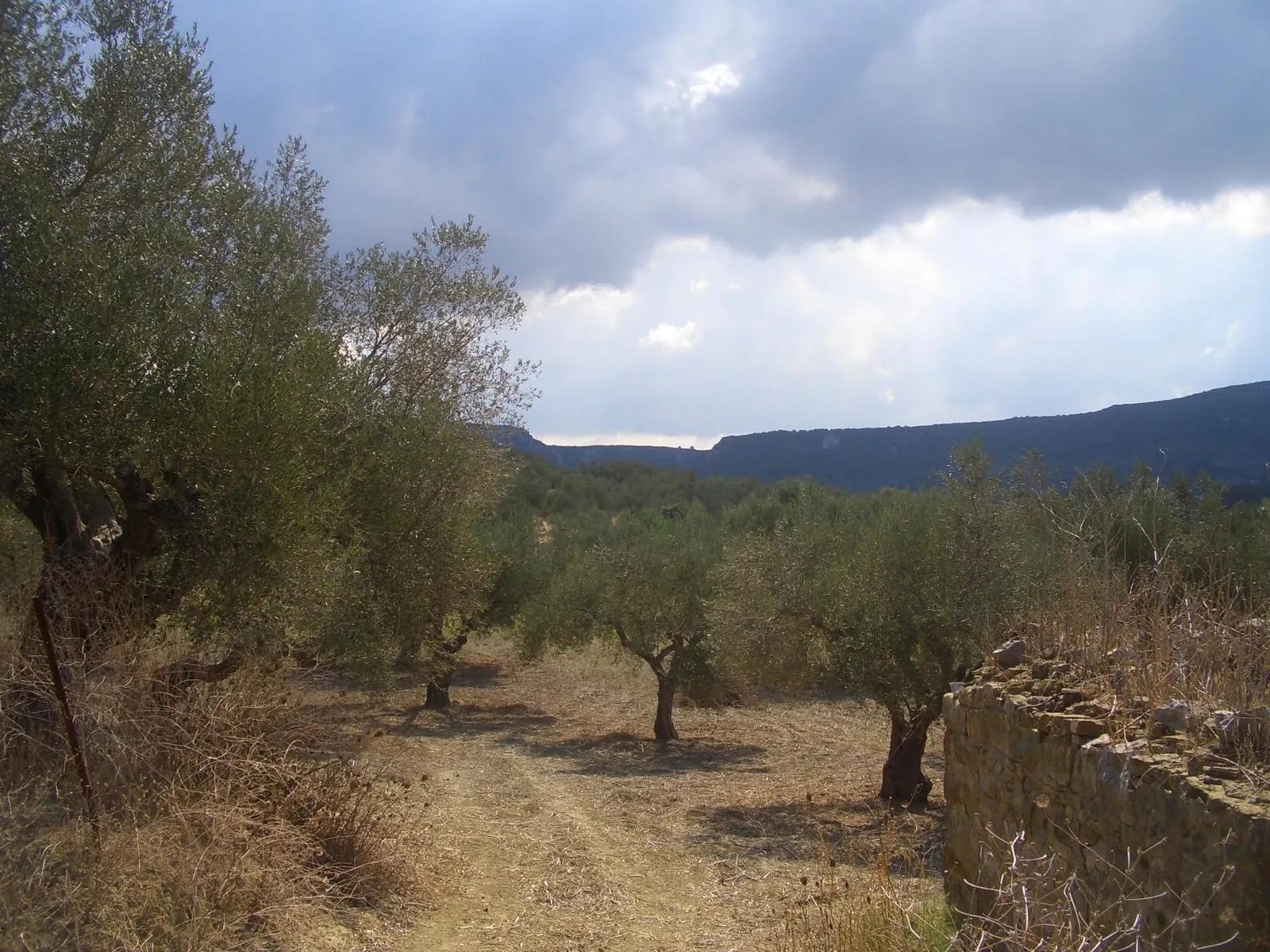 Plot for sale in Gialova Messinia