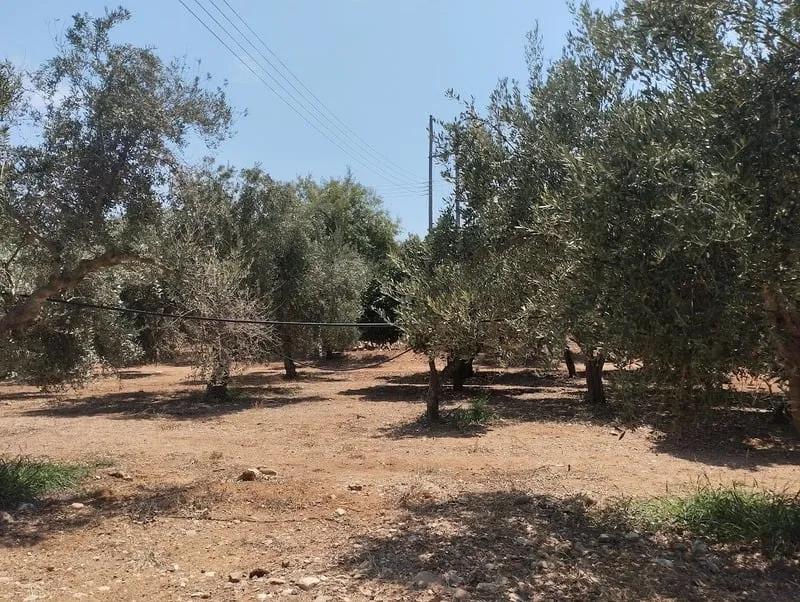 Πώληση αγροτεμαχίου Γαργαλιάνοι