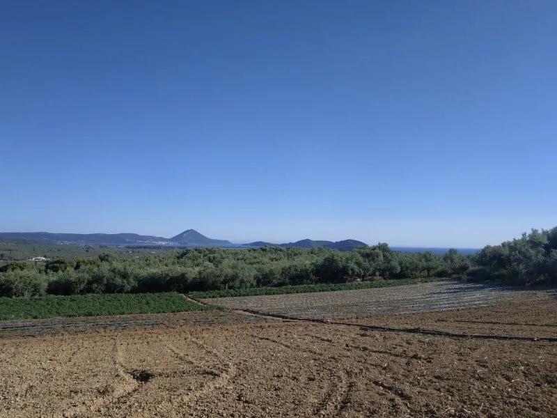 Land kaufen in Tragana Messenien