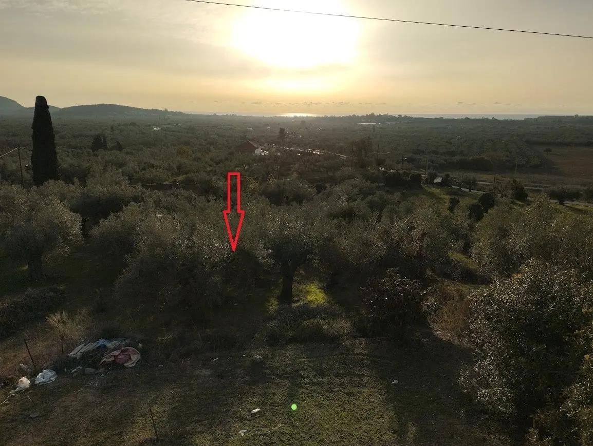 Grundstuecksverkauf in Korifasio Messinia