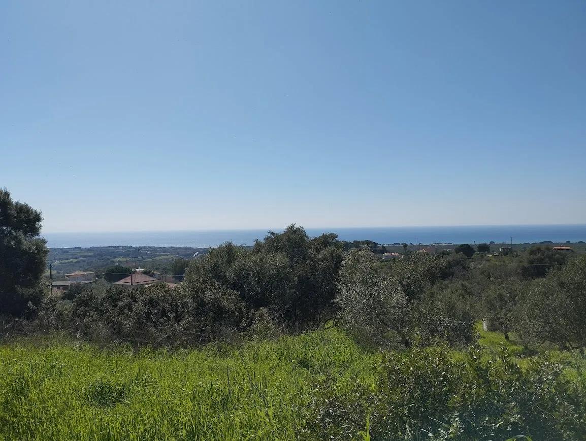 Πώληση έκτασης στην Τραγάνα Μεσσηνίας
