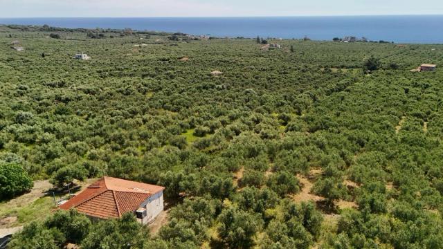 Πώληση κατοικίας πλησίον Μαραθόπολη Μεσσηνίας, φωτογραφία 1 από 8