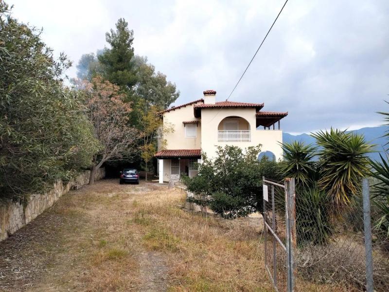 Detached House for Rent in Ampelofyto Messinia
