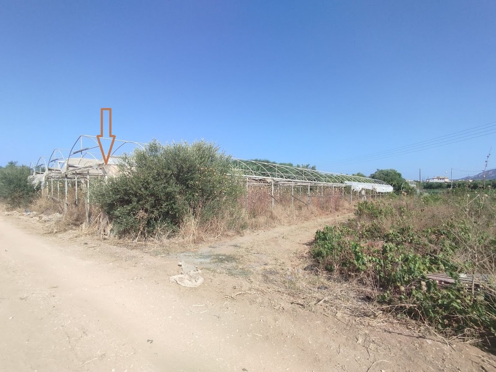 Land zum verkaufen in Romanos Messenien nah am Strand, Foto 1 von 7