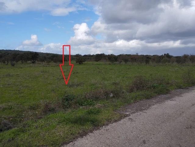 Plot for sale in the village Kynigos Messinia