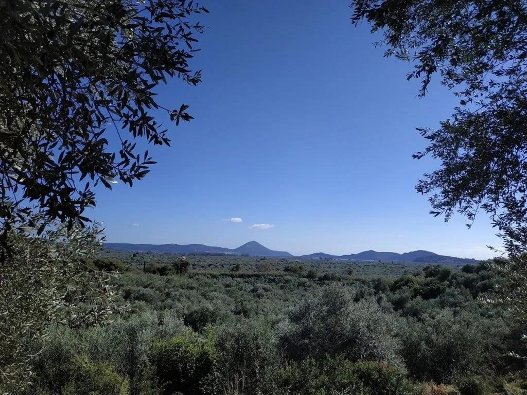 Πωλείται αγροτεμάχιο στην Τραγάνα Μεσσηνίας
