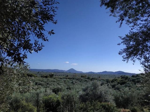 Πωλείται αγροτεμάχιο στην Τραγάνα Μεσσηνίας