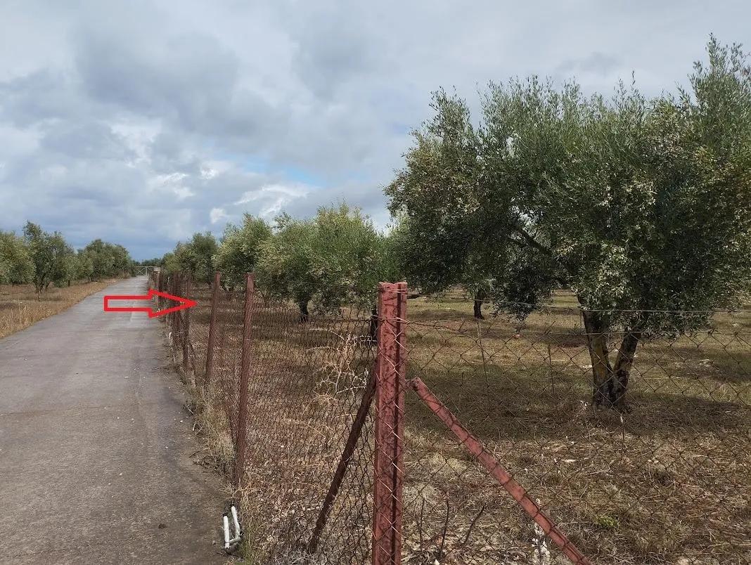 Plot for sale in Agia Kyriaki