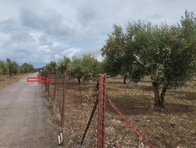 Plot for sale in Agia Kyriaki