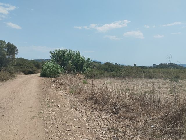 Πωλείται αγροτεμάχιο στον κάμπο του Πετροχωρίου στην Μεσσηνία, φωτογραφία 1 από 8