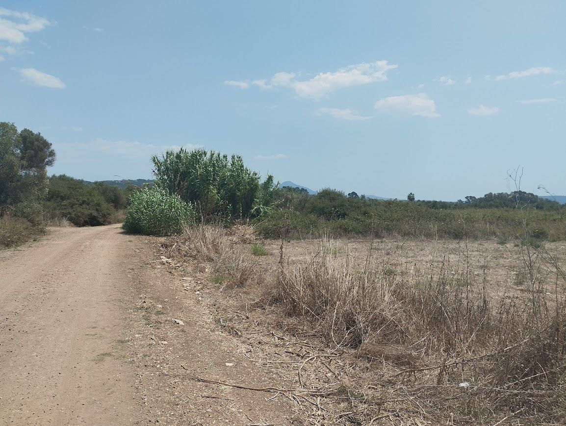 Plot for sale in Petrochori Messinia Peloponnes, photo 1 of 8