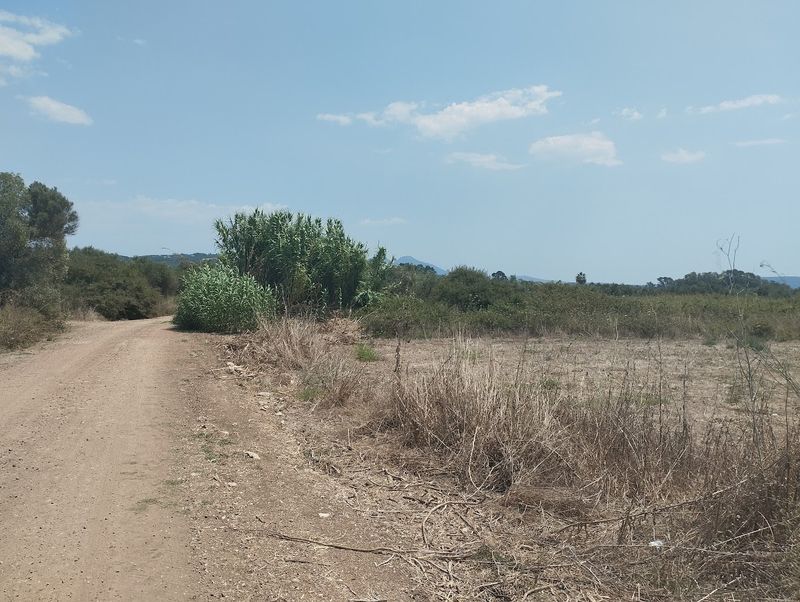 Land zum verkaufen in Petrochori Messenien Peloponnes, Foto 1 von 8