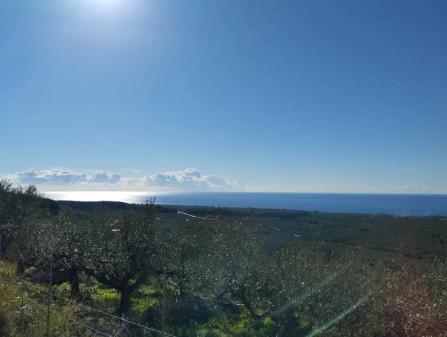 Plot for sale in Gargalianos Messinia