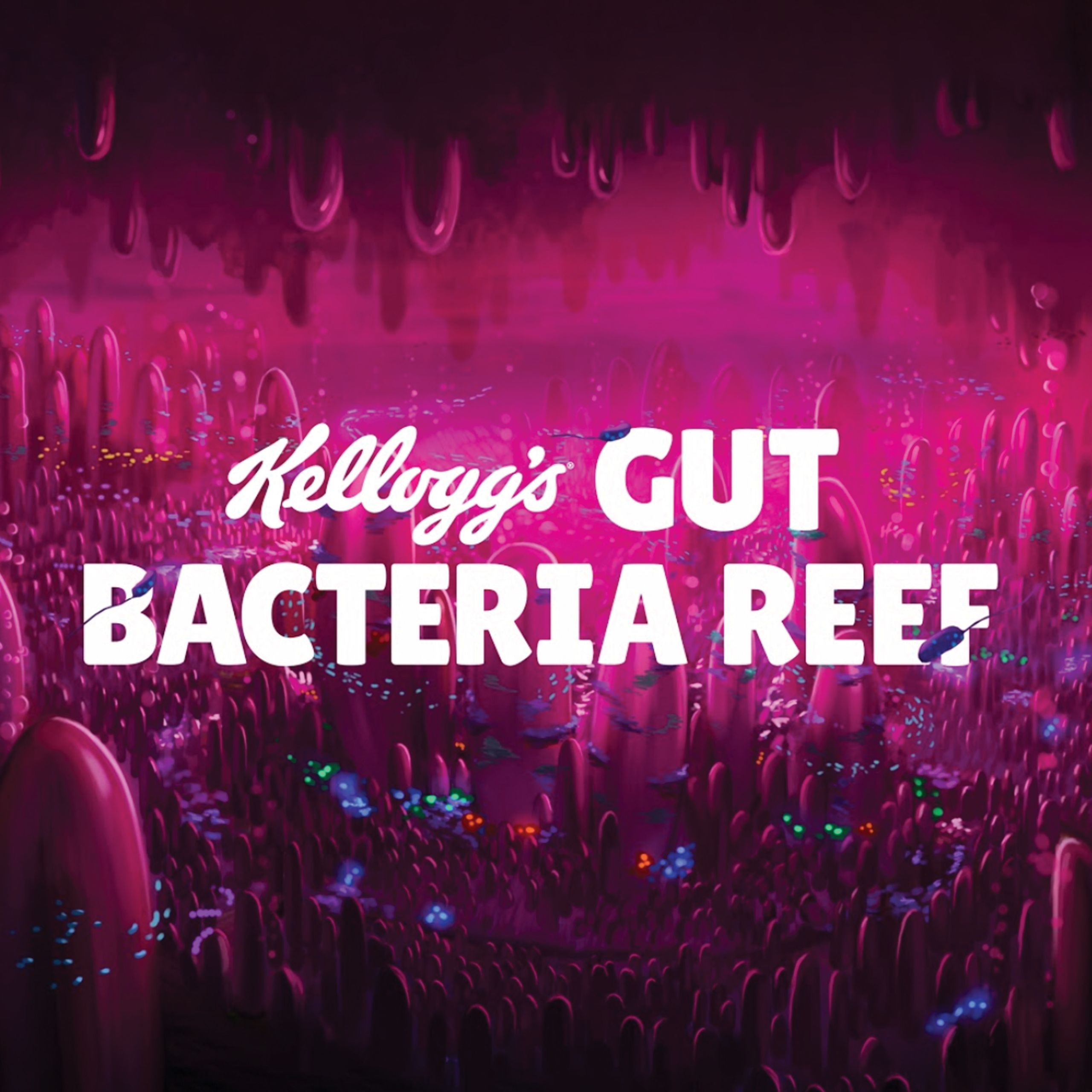 Main image for Gut Bacteria Reef