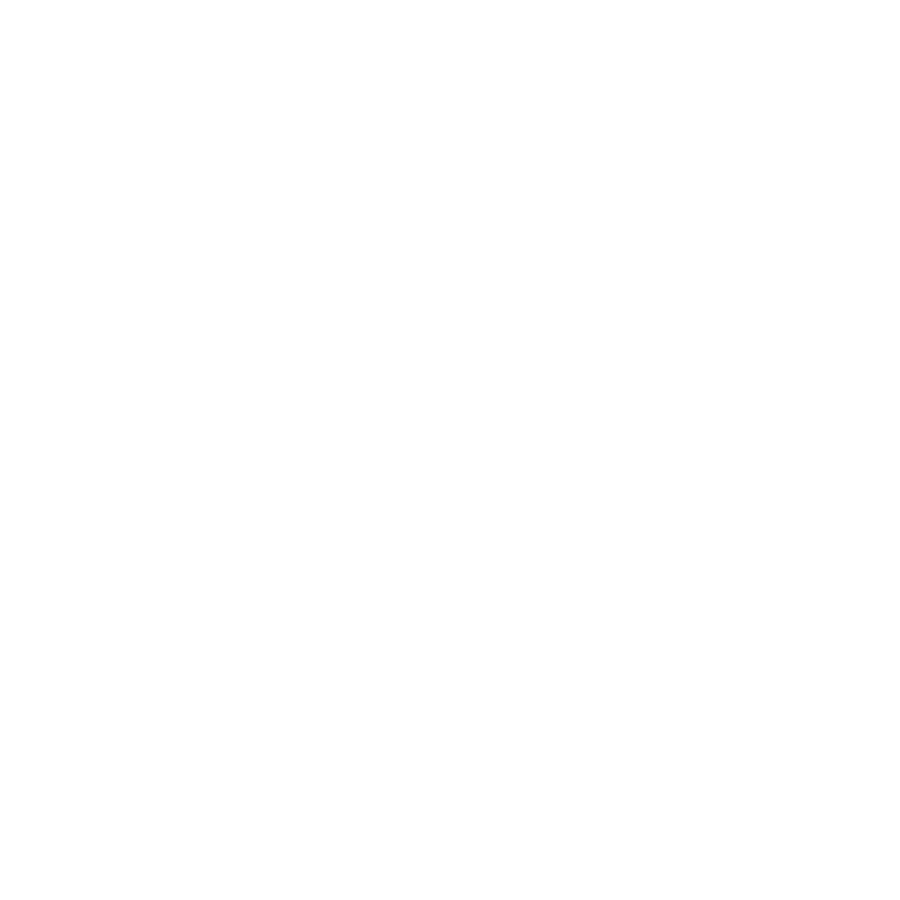 Vantage Mobile Detailing