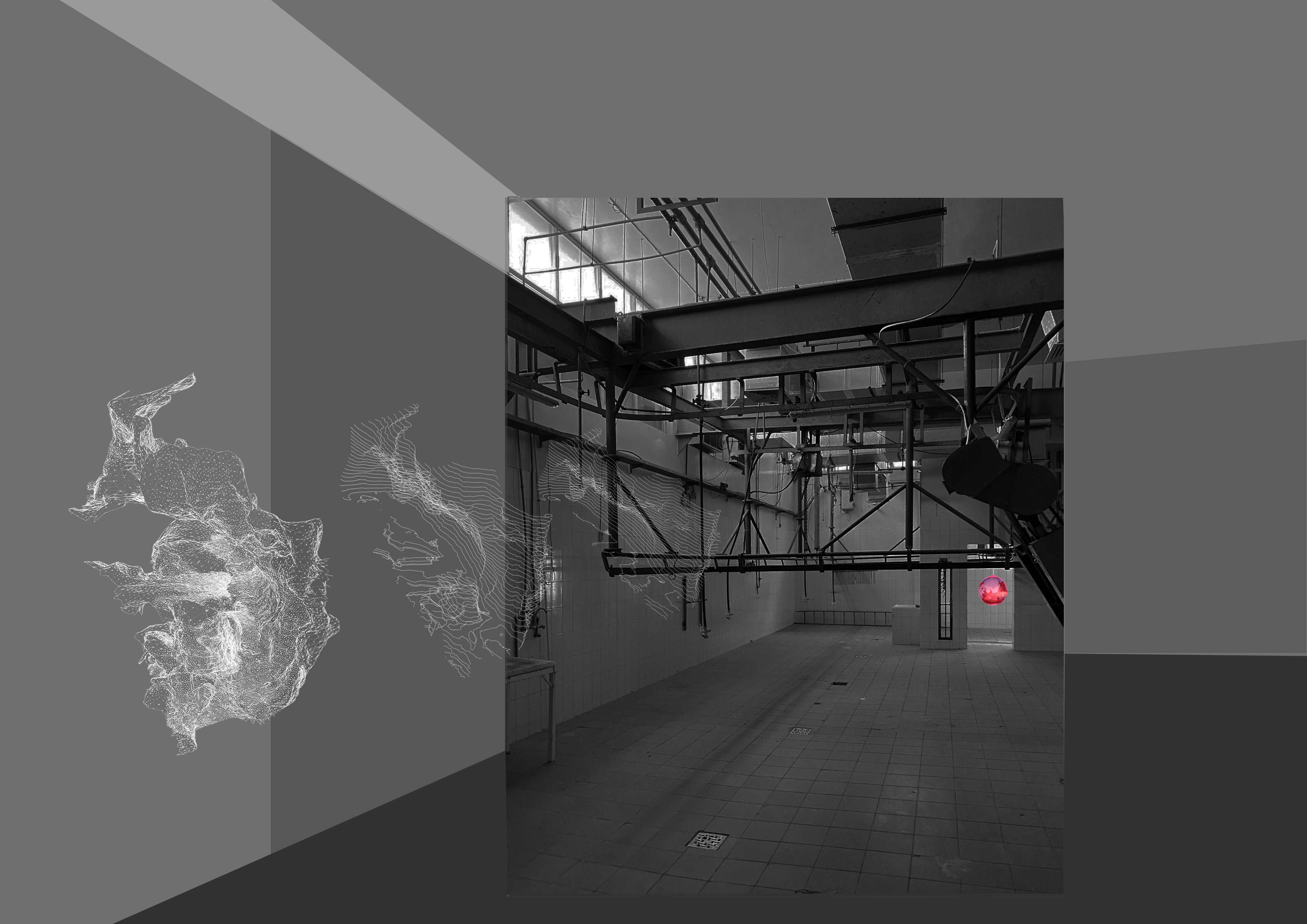 Anthropocene Museum 9.0: The Old Sharjah Slaughterhouse Tour