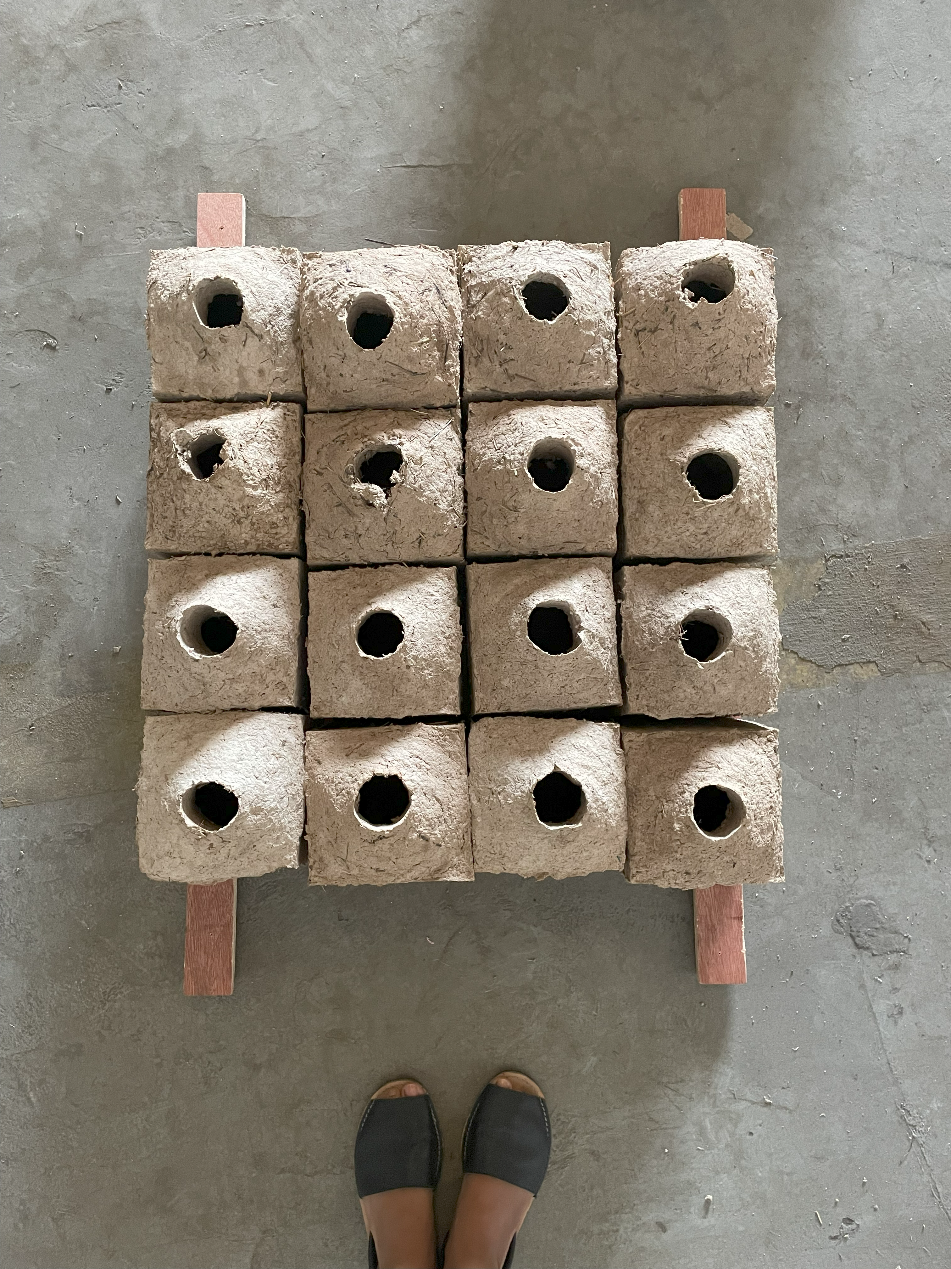 We Rest at the Bird’s Nest