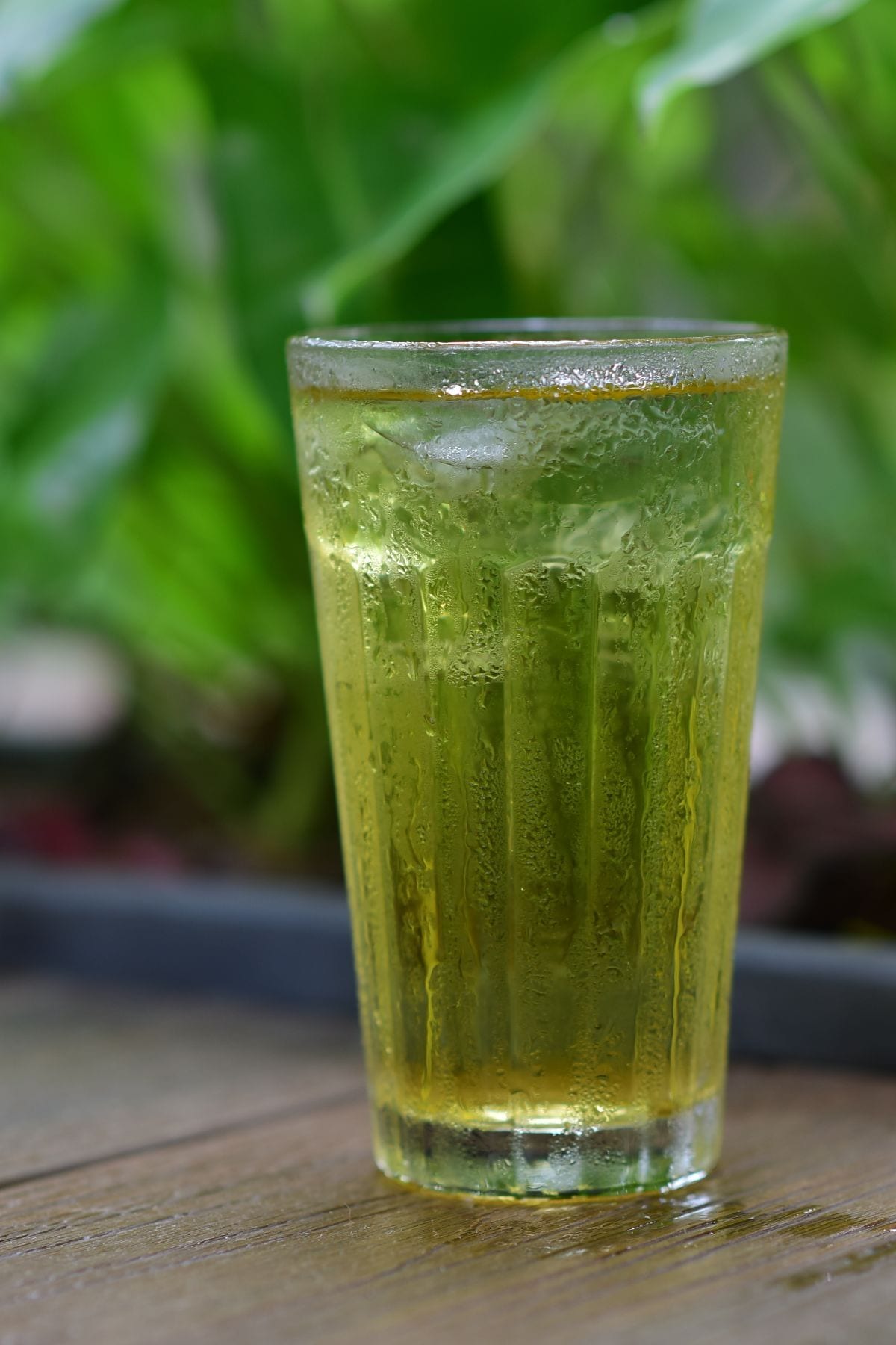 A tall faceted glass of chilled yellow green sencha tea beaded with condensation, lush leaves behind.