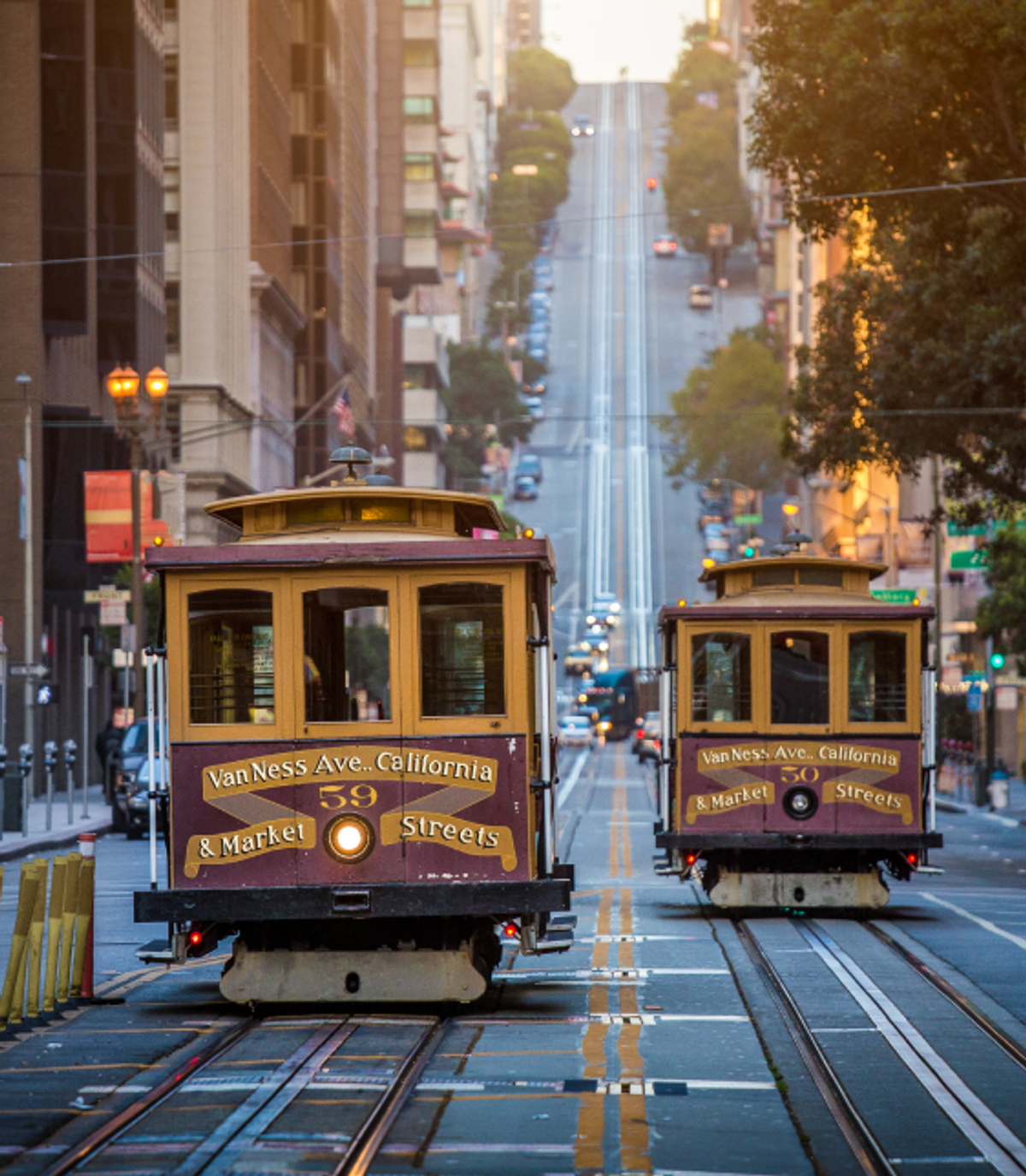 Trams on a city street