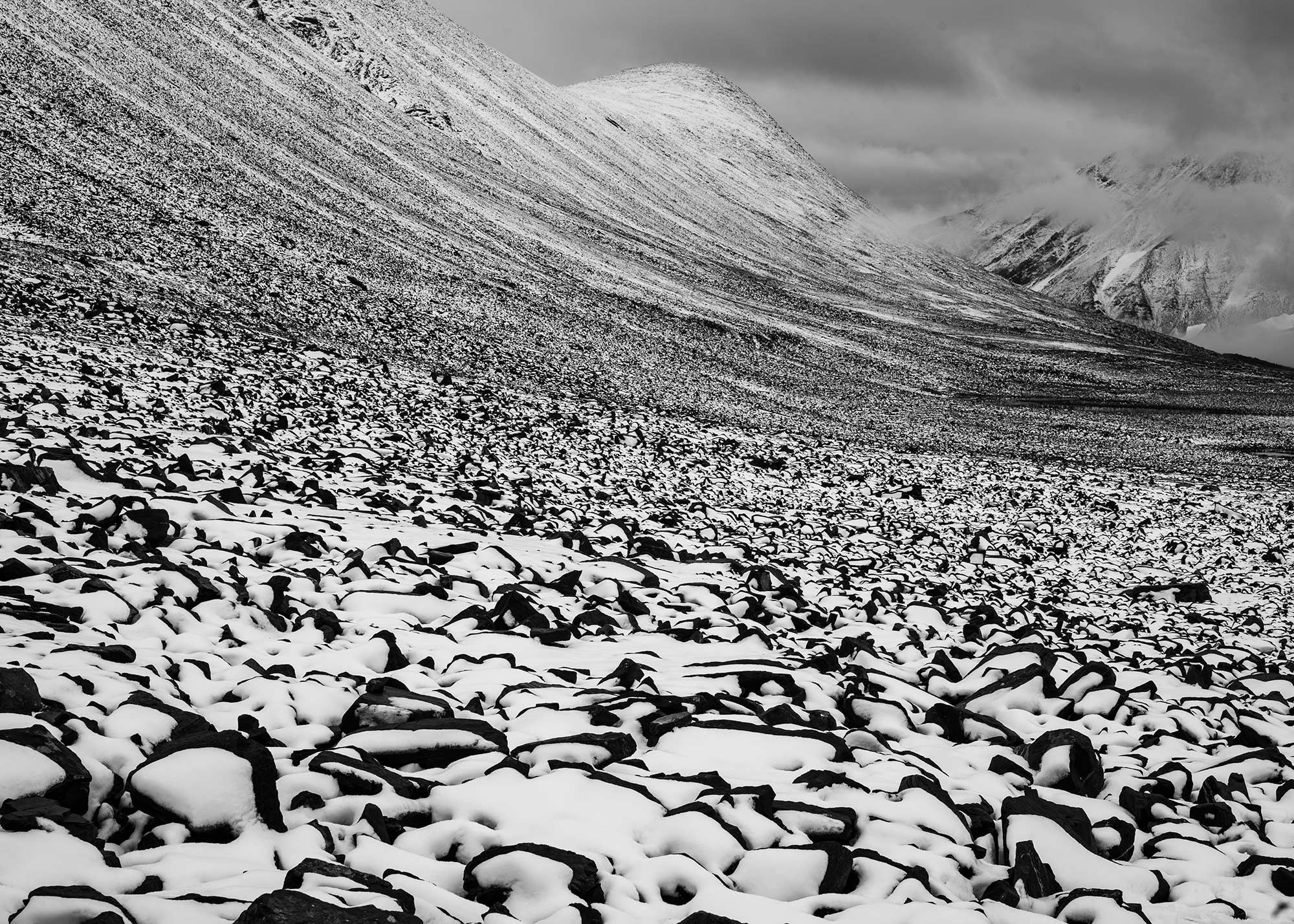 Snowy landscape